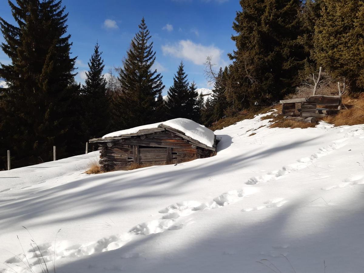 Appartement Gsaller Hopfgarten in Defereggen Dış mekan fotoğraf